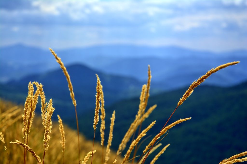 Europejski Dzień Obszarów Natura 2000 a BdPN