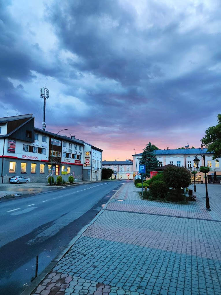 Światowy dzień  bez samochodu