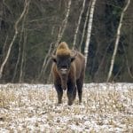 Dzień Ligi Ochrony Przyrody